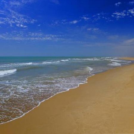 Mas Illa De Riu - Autentica Masia Del Delta Del Ebro Con Capacidad Para 20 Personas - Deltavacaciones Сан-Жауме-де-Енвежа Екстер'єр фото
