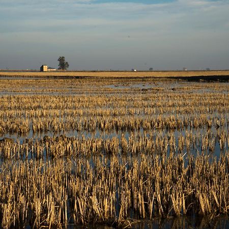 Mas Illa De Riu - Autentica Masia Del Delta Del Ebro Con Capacidad Para 20 Personas - Deltavacaciones Сан-Жауме-де-Енвежа Екстер'єр фото
