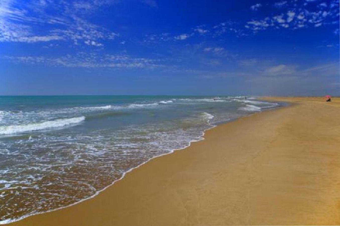 Mas Illa De Riu - Autentica Masia Del Delta Del Ebro Con Capacidad Para 20 Personas - Deltavacaciones Сан-Жауме-де-Енвежа Екстер'єр фото