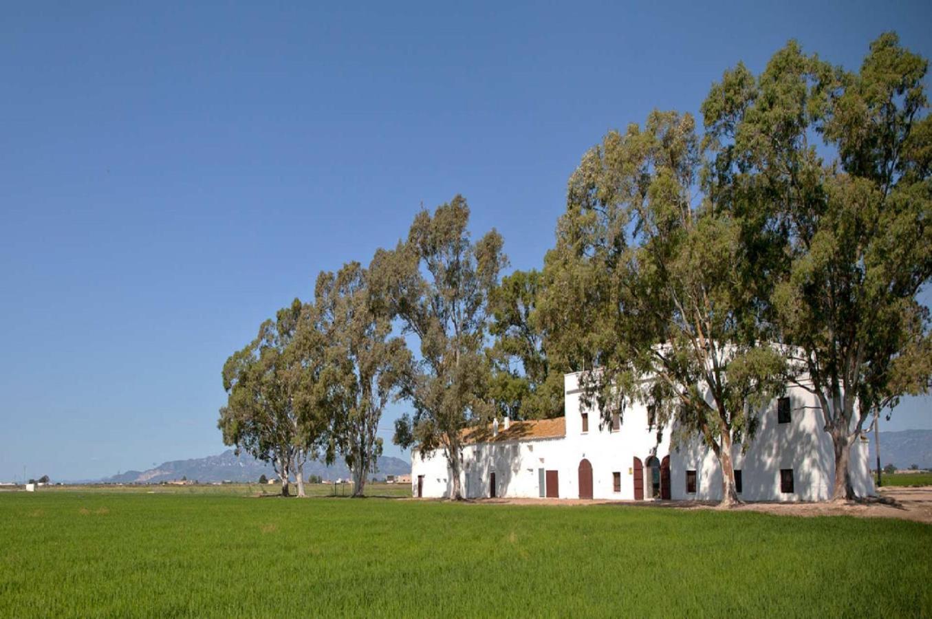 Mas Illa De Riu - Autentica Masia Del Delta Del Ebro Con Capacidad Para 20 Personas - Deltavacaciones Сан-Жауме-де-Енвежа Екстер'єр фото
