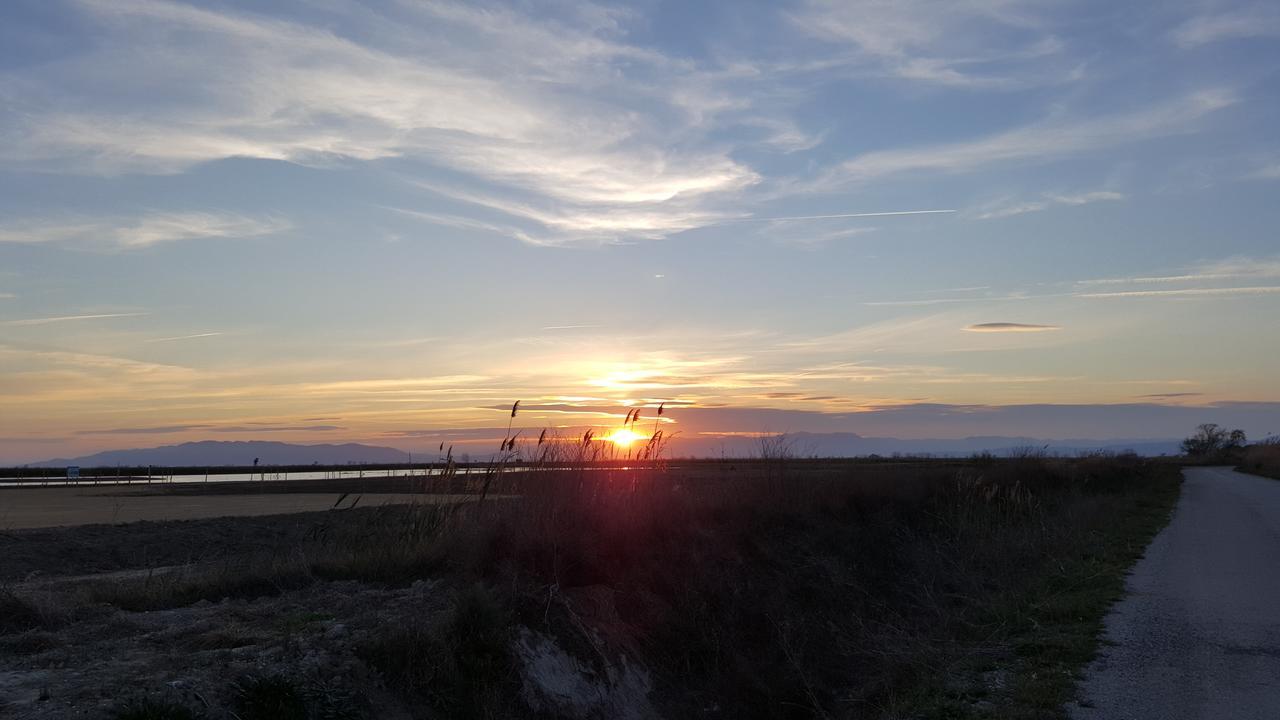Mas Illa De Riu - Autentica Masia Del Delta Del Ebro Con Capacidad Para 20 Personas - Deltavacaciones Сан-Жауме-де-Енвежа Екстер'єр фото