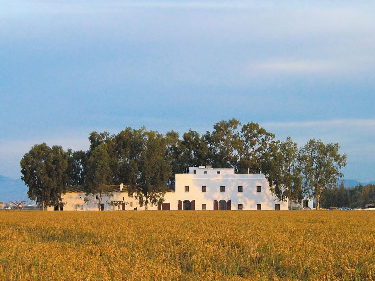 Mas Illa De Riu - Autentica Masia Del Delta Del Ebro Con Capacidad Para 20 Personas - Deltavacaciones Сан-Жауме-де-Енвежа Екстер'єр фото