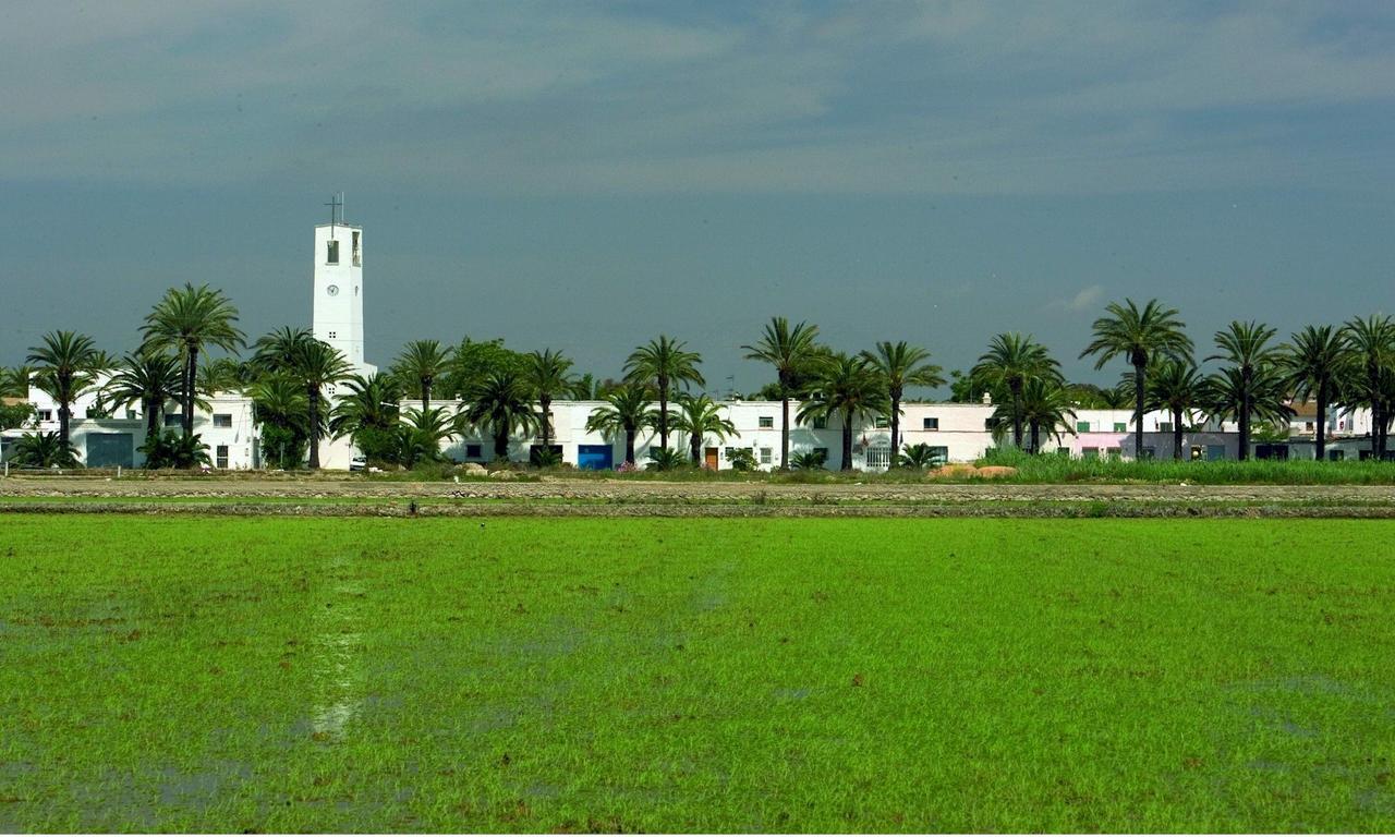 Mas Illa De Riu - Autentica Masia Del Delta Del Ebro Con Capacidad Para 20 Personas - Deltavacaciones Сан-Жауме-де-Енвежа Екстер'єр фото