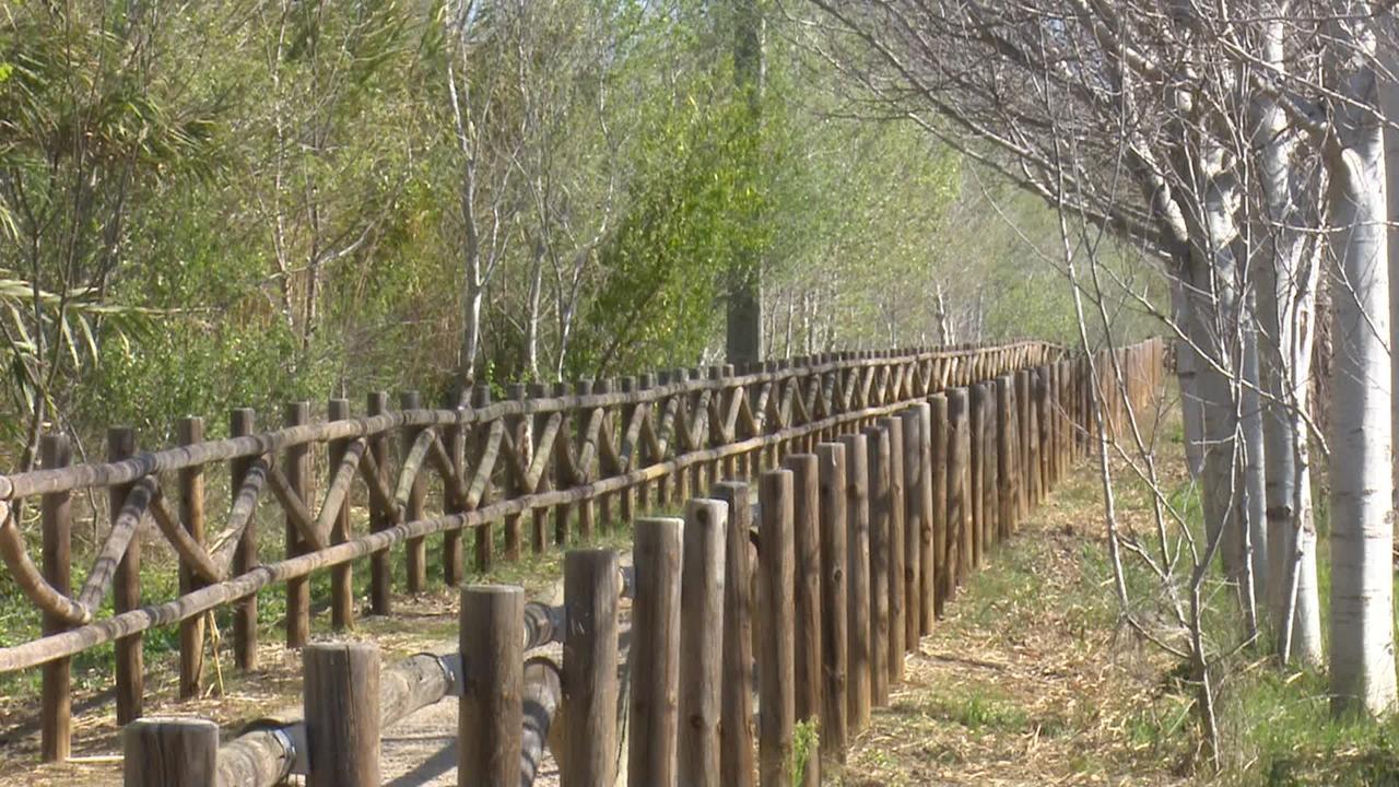 Mas Illa De Riu - Autentica Masia Del Delta Del Ebro Con Capacidad Para 20 Personas - Deltavacaciones Сан-Жауме-де-Енвежа Екстер'єр фото